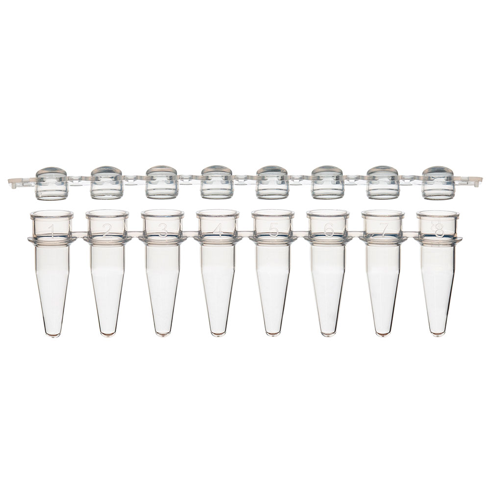 Globe Scientific 0.2mL 12-Strip Tubes, with Separate 12-Strip clear Dome caps, Natural Image